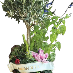 Coupe de plantes – Image 2