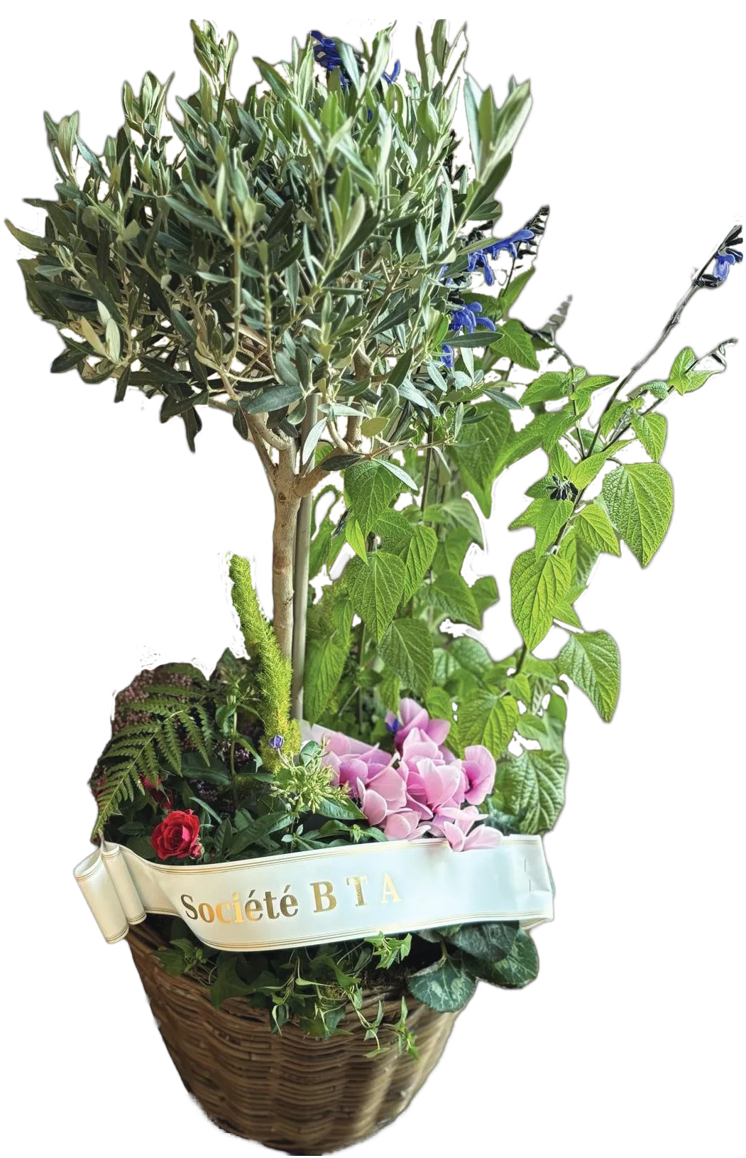 Coupe de plantes – Image 2