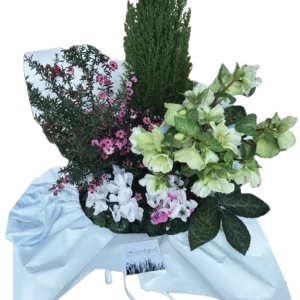 Coupe de plantes