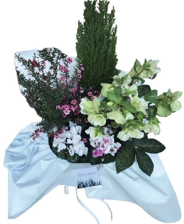 Coupe de plantes