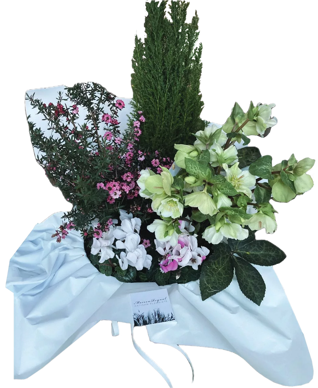 Coupe de plantes – Image 1
