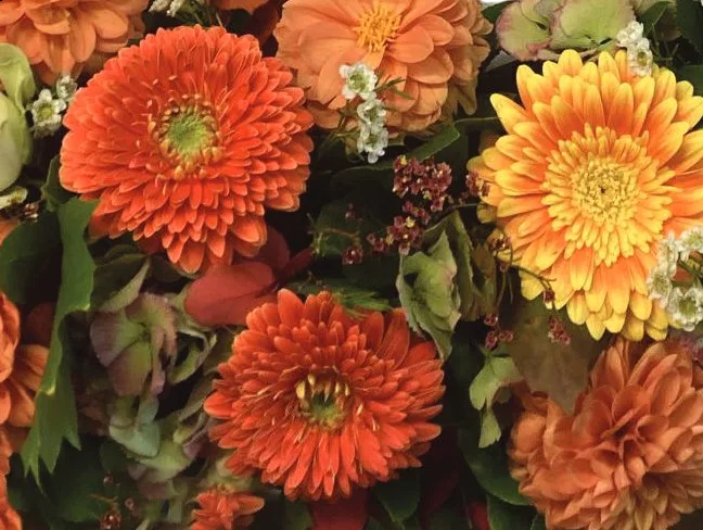 Couronne – Image 8