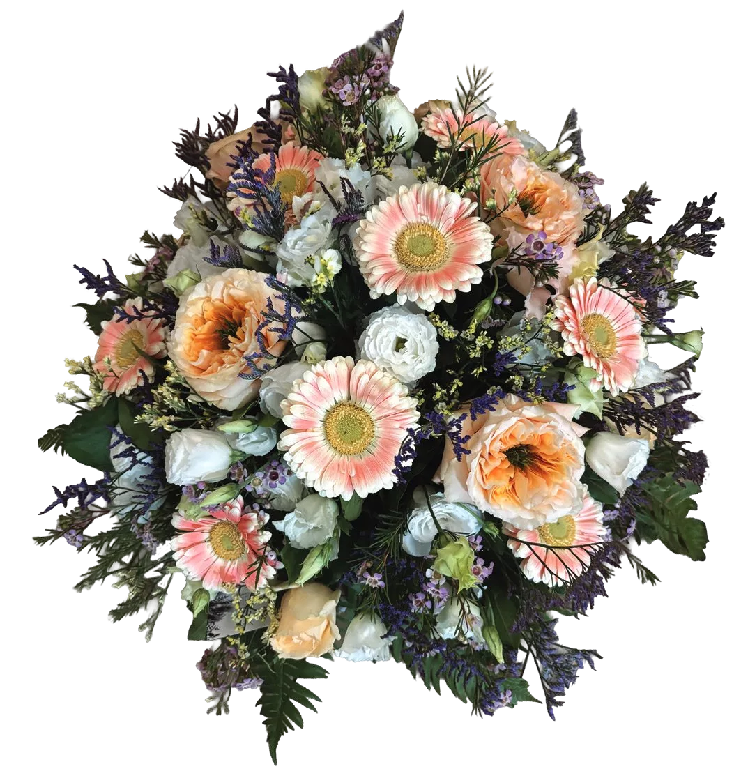 Coussin – Image 15