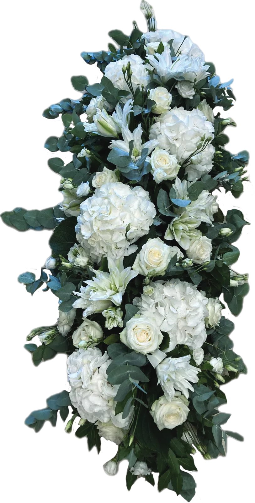 Dessus de cerceuil – Image 13