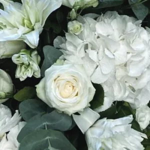 Dessus de cerceuil – Image 14