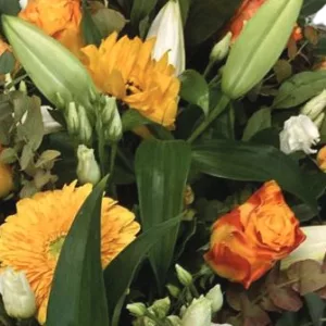 Dessus de cerceuil – Image 17