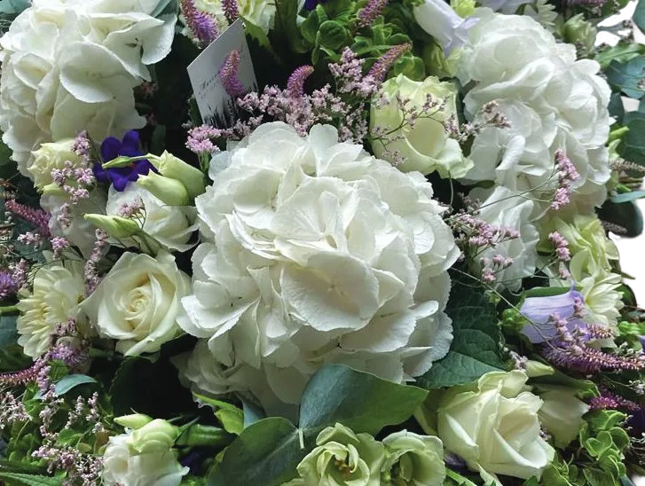 Dessus de cerceuil – Image 4