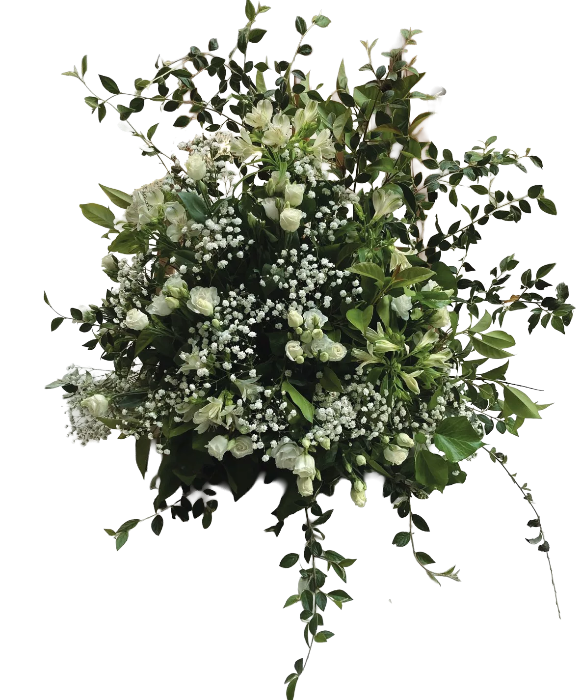 Devant de cercueil – Image 3