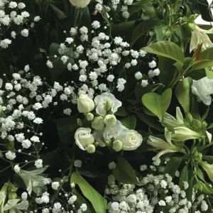 Devant de cercueil – Image 4