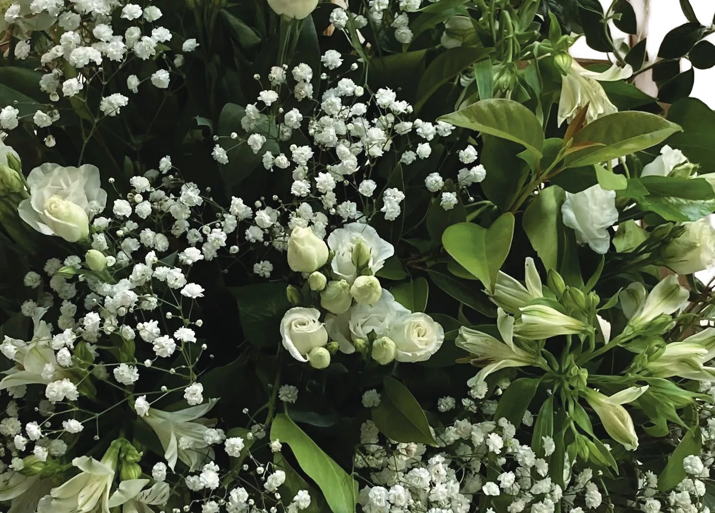 Devant de cercueil – Image 4