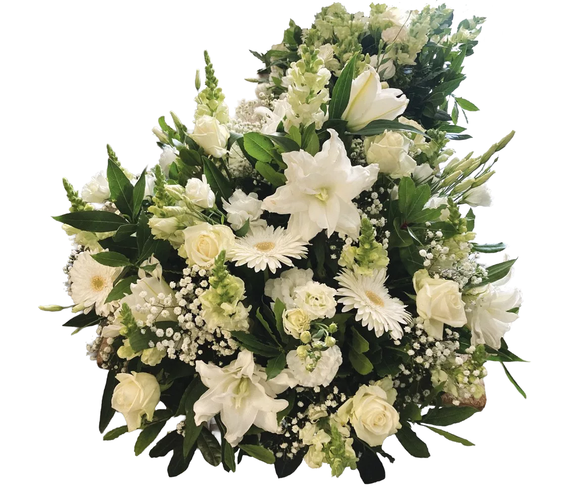 Devant de cercueil – Image 6