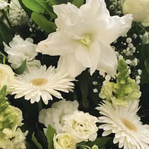 Devant de cercueil – Image 7